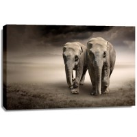 Elephants