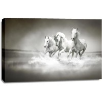Running Horses - Black and White