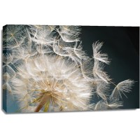 Torhild Adrijana - Dandelion - Losing It