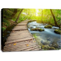 Renée Pehr - Forest River With Walkway III