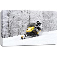 Lessandre Collection - Snowmobile - On My Way II
