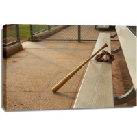 Lessandre Collection - Baseball bat - Glove