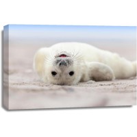 Seal - Having A Bath