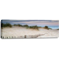 Luis Bond - Path to the Beach - Dune