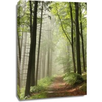 Renée Pehr - Misty Path