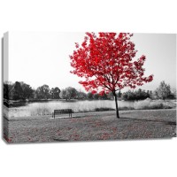 Karina Zampini - Lone Tree in Red