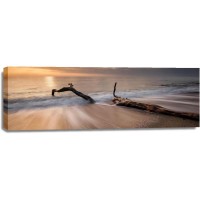 Doreen Sharp - Beach - Piece of Wood Sunset