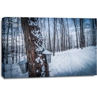 Romeo Delogu - Calm Winter Forest II