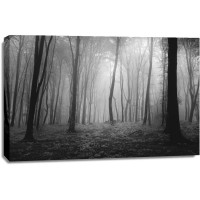 Romeo Delogu - Foggy Forest Black and White