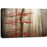 Romeo Delogu - Foggy Fall Sunrise In Forest