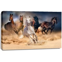 Horses - Running