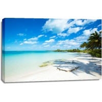 Beach - Turquoise Paradise