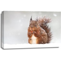 Squirrel - Snacking In Light Snow Fall