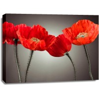 Assaf Frank - Four Poppies