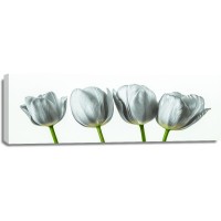 Assaf Frank - Four tulips
