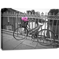 Assaf Frank - Old Bicycle near a canal