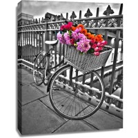 Assaf Frank - Bicycles with flowers