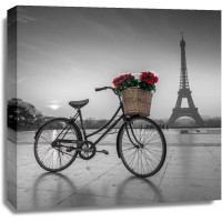 Assaf Frank - A bicycle with a basket of flowers with the Eiffel tower in the background