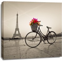Assaf Frank - Bicycle with a basket of flowers next to the Eiffel tower