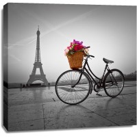 Assaf Frank - Bicycle with a basket of flowers next to the Eiffel tower