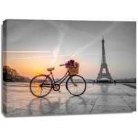 Assaf Frank - Bicycle with a basket of flowers next to the Eiffel tower, Paris, France