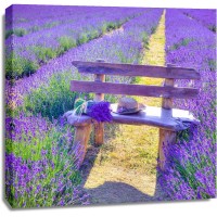 Assaf Frank - Bench in Lavender field