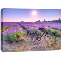 Assaf Frank - Bicycle with flowers in a Lavender field