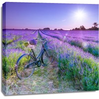 Assaf Frank - Bicycle with flowers in a Lavender field