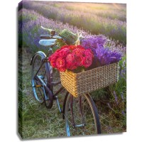 Assaf Frank - Basket of flowers on a bicycle