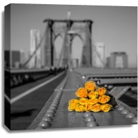 Assaf Frank - Bunch of roses on Brooklyn Bridge, New York