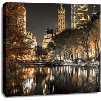 Assaf Frank - Evening view of Central Park in New York City