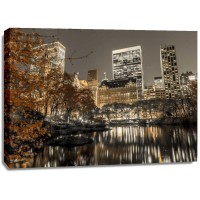 Assaf Frank - Evening view of Central Park in New York City