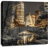 Assaf Frank - Evening view of Central Park in New York City