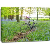 Assaf Frank - Bicycle in spring forest with bunch of flowers