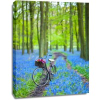 Assaf Frank - Bicycle in spring forest