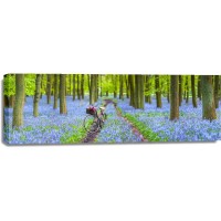 Assaf Frank - Bicycle in spring forest