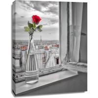 Assaf Frank - Flower vase on window with Eiffle tower in background-Paris