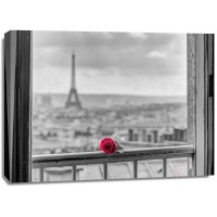 Assaf Frank - Rose on balcony railing with Eiffel Tower in background, Paris, France