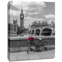 Assaf Frank - Bunch of Roses on a bicycle agaisnt Westminster Abby, London, UK