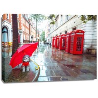 Assaf Frank - Dog with umbrella on London city street