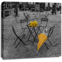 Assaf Frank - Bunch of roses and umbrella on table and chair at the park, New York