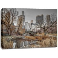 Assaf Frank - Central park and Manhattan skyline, New York