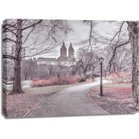 Assaf Frank - Pathway through Central park-New York