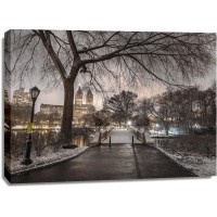 Assaf Frank - Evening view of Central park-New York