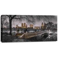 Assaf Frank - Central park with Manhattan skyline, New York
