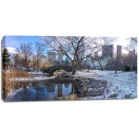 Assaf Frank - Central park with Lower Manhattan skyline, New York
