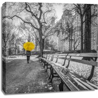 Assaf Frank - Tourist on pathway with Yellow umbrella at Central park-New York