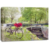 Assaf Frank - Bicycle with bunch of white roses by the canal