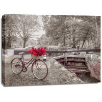 Assaf Frank - Bicycle with bunch of white roses by the canal