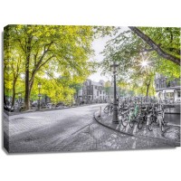 Assaf Frank - Amsterdam city street